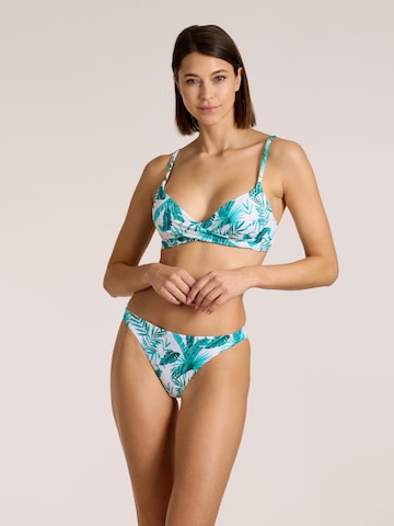 Triangle Hauts de bikini OLYMPIA en bleu