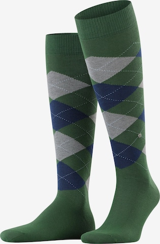 BURLINGTON Knee High Socks 'King' in Green: front