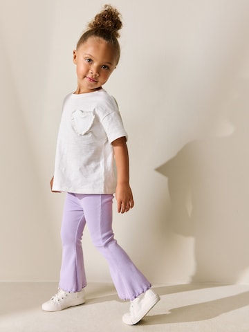 Next Na zvonec Pajkice | vijolična barva