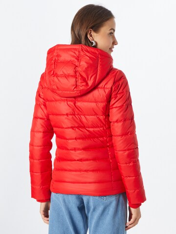 Tommy Jeans Winterjas in Rood