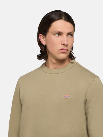 balta DICKIES Megztinis be užsegimo 'OAKPORT'