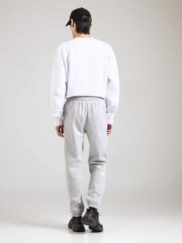 THE NORTH FACE Tapered Trousers in Grey