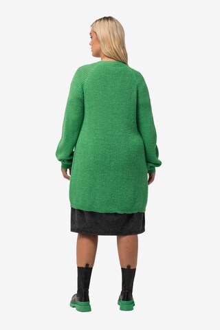 Ulla Popken Knit Cardigan in Green