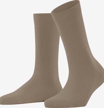 FALKE Socks 'Family' in Beige: front