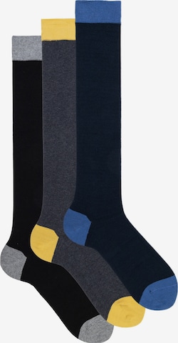 Gambaletto '3 Pack Calze Lunghe Fantasia - Confezione Regalo - Ciocca' di Ciocca in blu: frontale