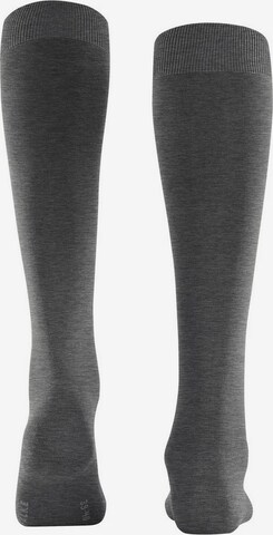 FALKE Athletic Socks in Grey