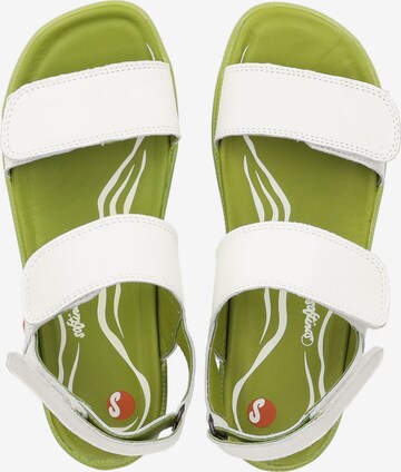 Softinos Strap Sandals in White