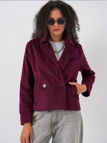 Bigdart Winter Jacket in Red: front