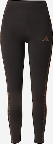 ADIDAS SPORTSWEAR Sporthose in Schwarz: Vorderseite