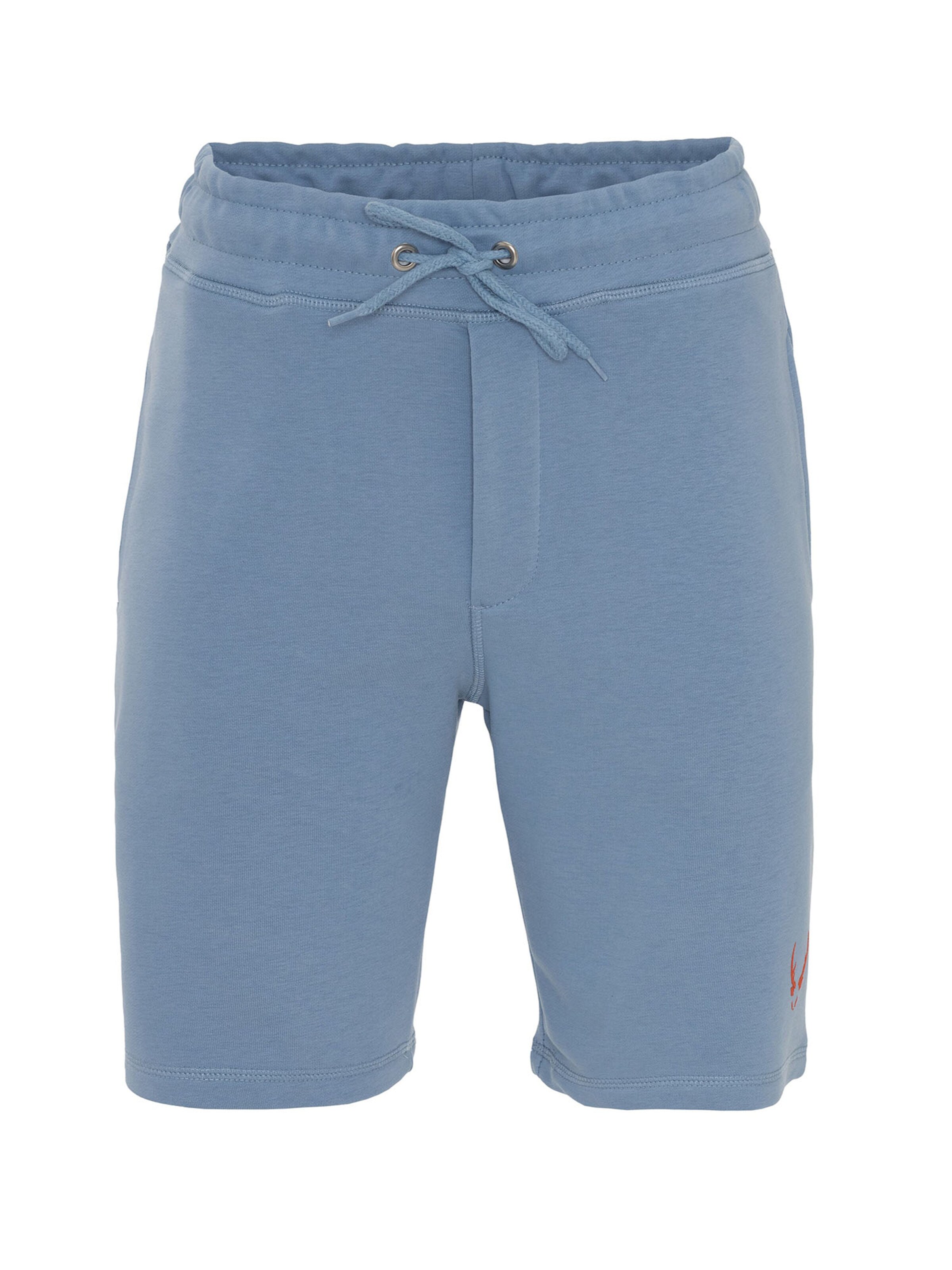 regular Pantaloni di By Diess Collection in blu: frontale