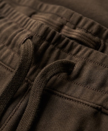 Superdry Tapered Cargo Pants in Brown