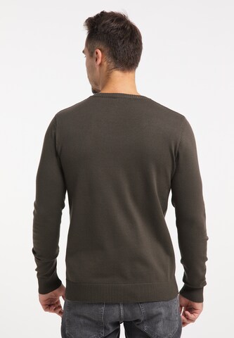 RAIDO Sweater in Green