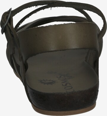 COSMOS COMFORT Sandalen met riem in Groen