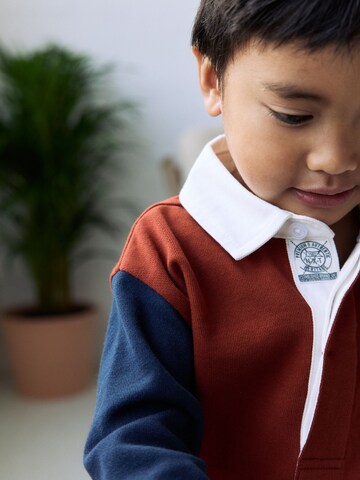 Next Sweater in Brown