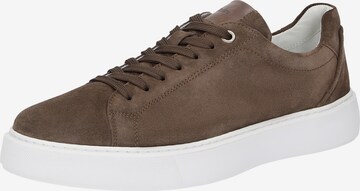 SIOUX Sneakers laag '003' in Bruin: voorkant