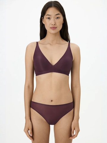 Penti Biustonosz 'BHs & Bralettes' w kolorze fioletowy: przód