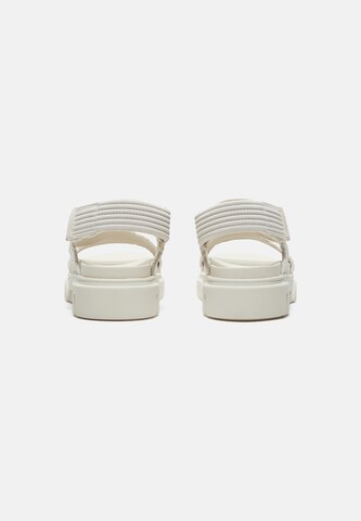 balta TIMBERLAND Basutės su dirželiais 'Greyfield'