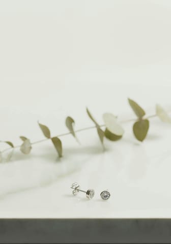 XENOX Earrings in Silver