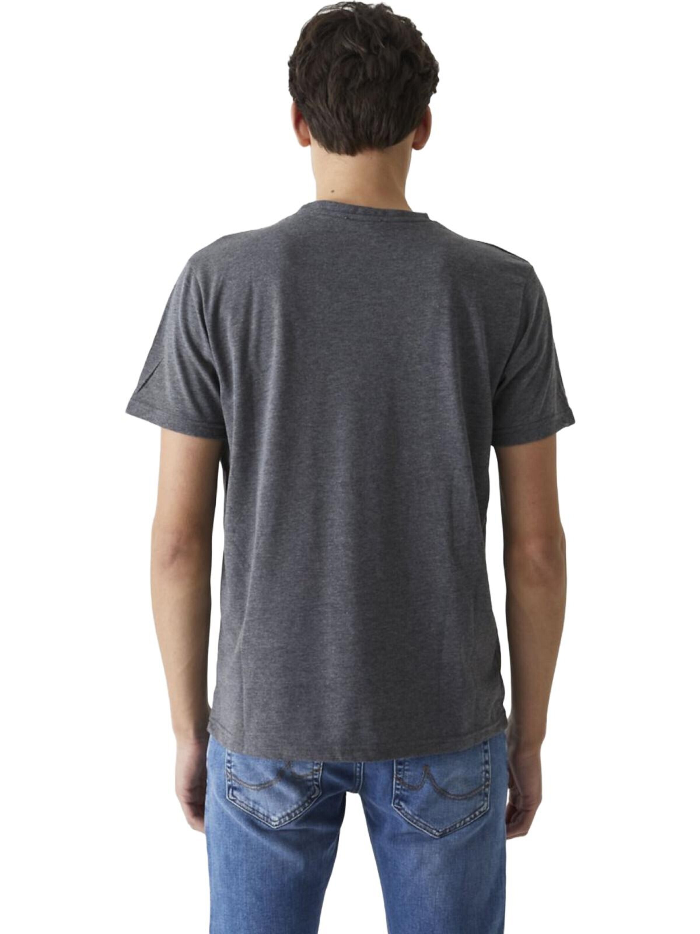 Maglietta 'Logo T-Shirt' di LTB Jeans in grigio