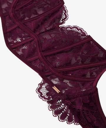 Soutien-gorge Hunkemöller en violet