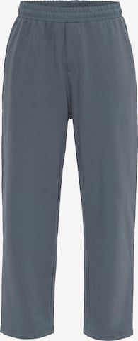 VAMOS CLO Housut värissä harmaa: etupuoli