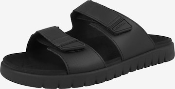 Mule 'U Flextride S' GEOX en noir : devant