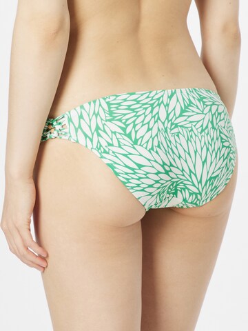 Pantaloncini per bikini di LingaDore in verde