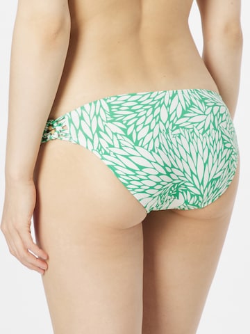 LingaDore Bikini hlačke | zelena barva