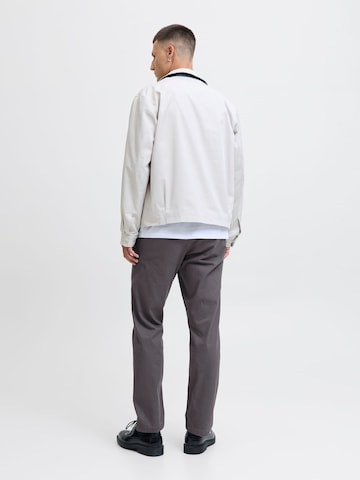 JACK & JONES Regular Chino trousers 'JPSTKane Dave' in Grey