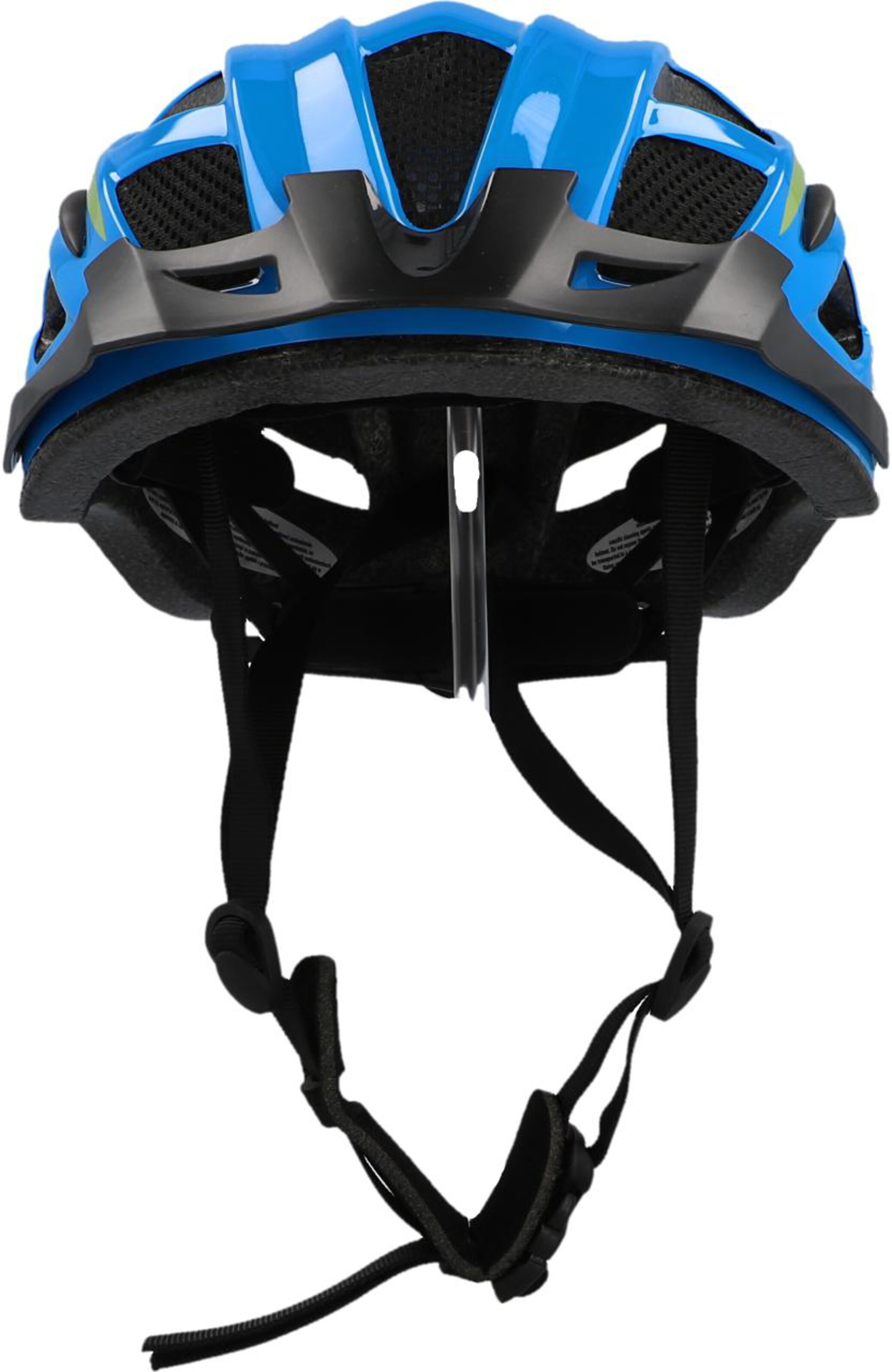 FISCHER Fahrräder Helmet in Blue