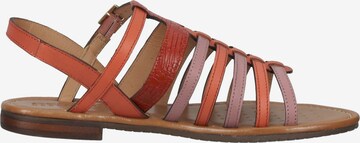 GEOX Sandalen met riem in Gemengde kleuren