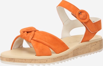 Paul Green Sandals in Orange: front