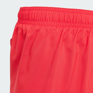 ADIDAS SPORTSWEAR Sportbadeshorts  'Essentials' in Rot