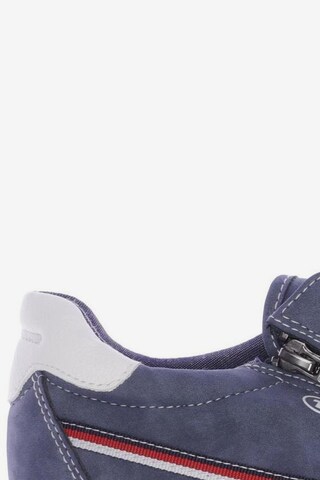 TOM TAILOR Sneakers & Trainers in 40 in Blue