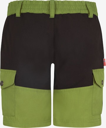 TROLLKIDS Workout Pants in Green: front