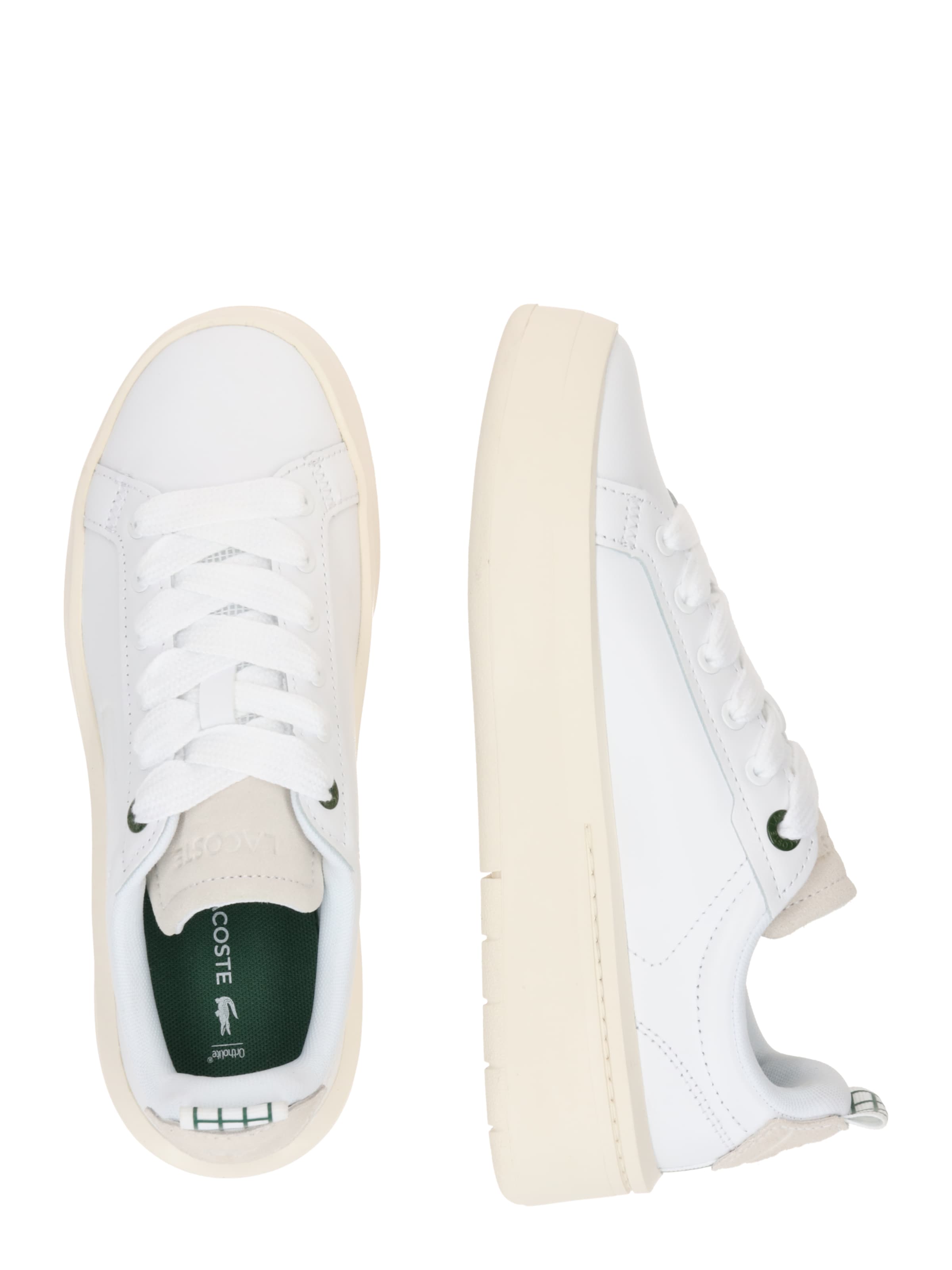 Baskets basses LACOSTE en blanc