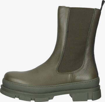 Chelsea Boots STEVE MADDEN en vert