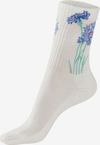 Chaussettes LASCANA en blanc