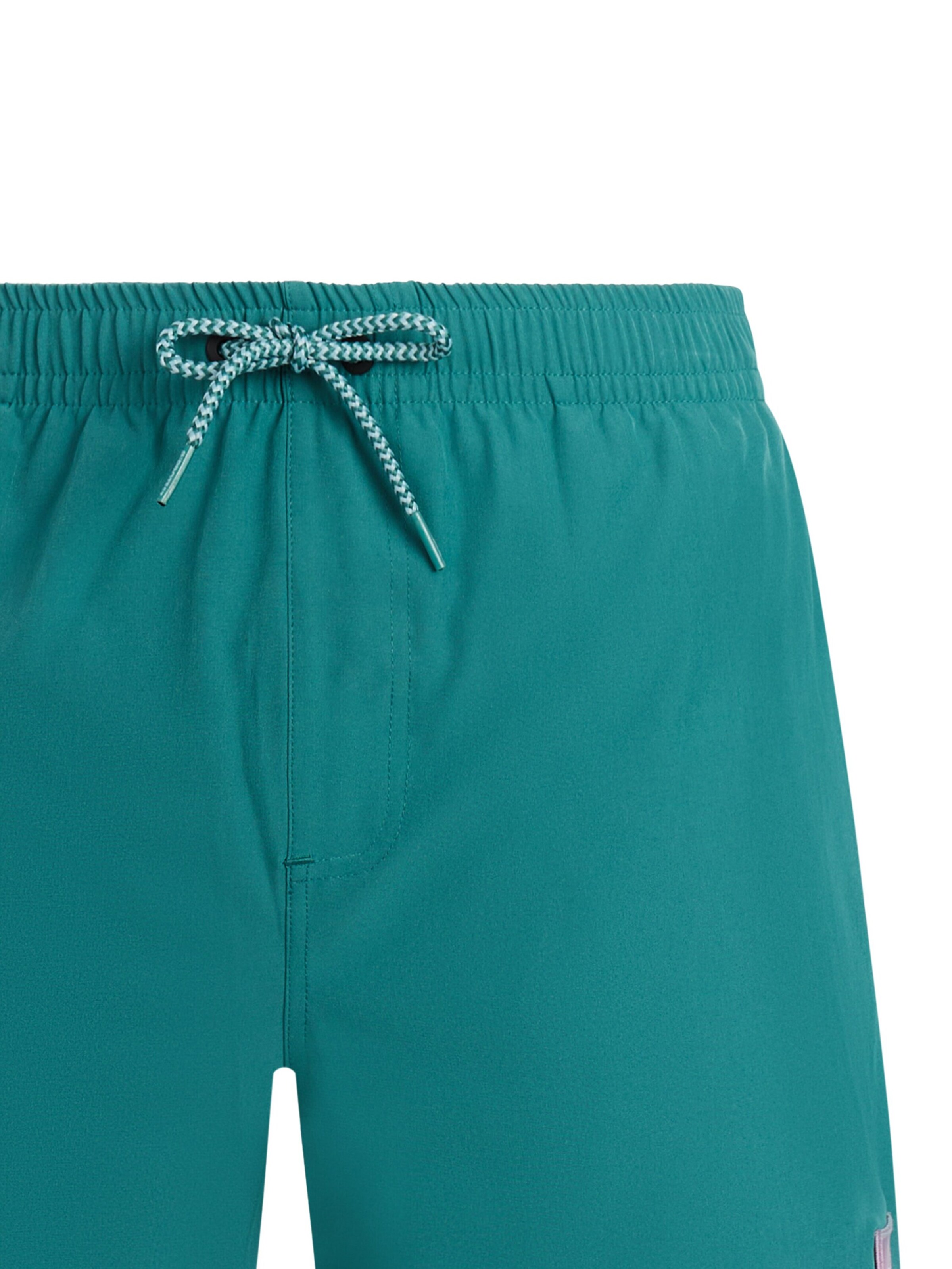 PROTEST Swimming shorts 'PRTJayden' in Green