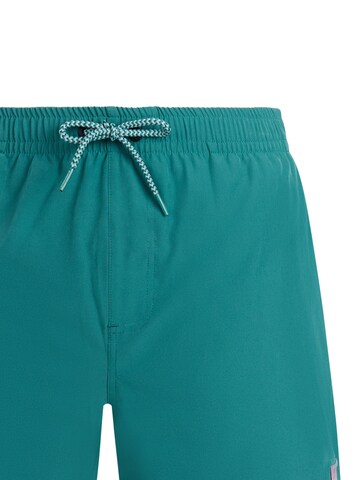 PROTEST Board Shorts 'PRTJayden' in Green