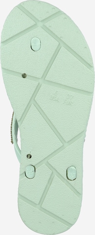 Hailys T-Bar Sandals 'Fili' in Green