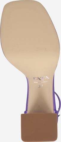 Sandales à lanières TATA Italia en violet