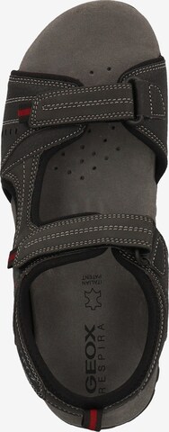 Sandales de randonnée 'Mito' GEOX en noir
