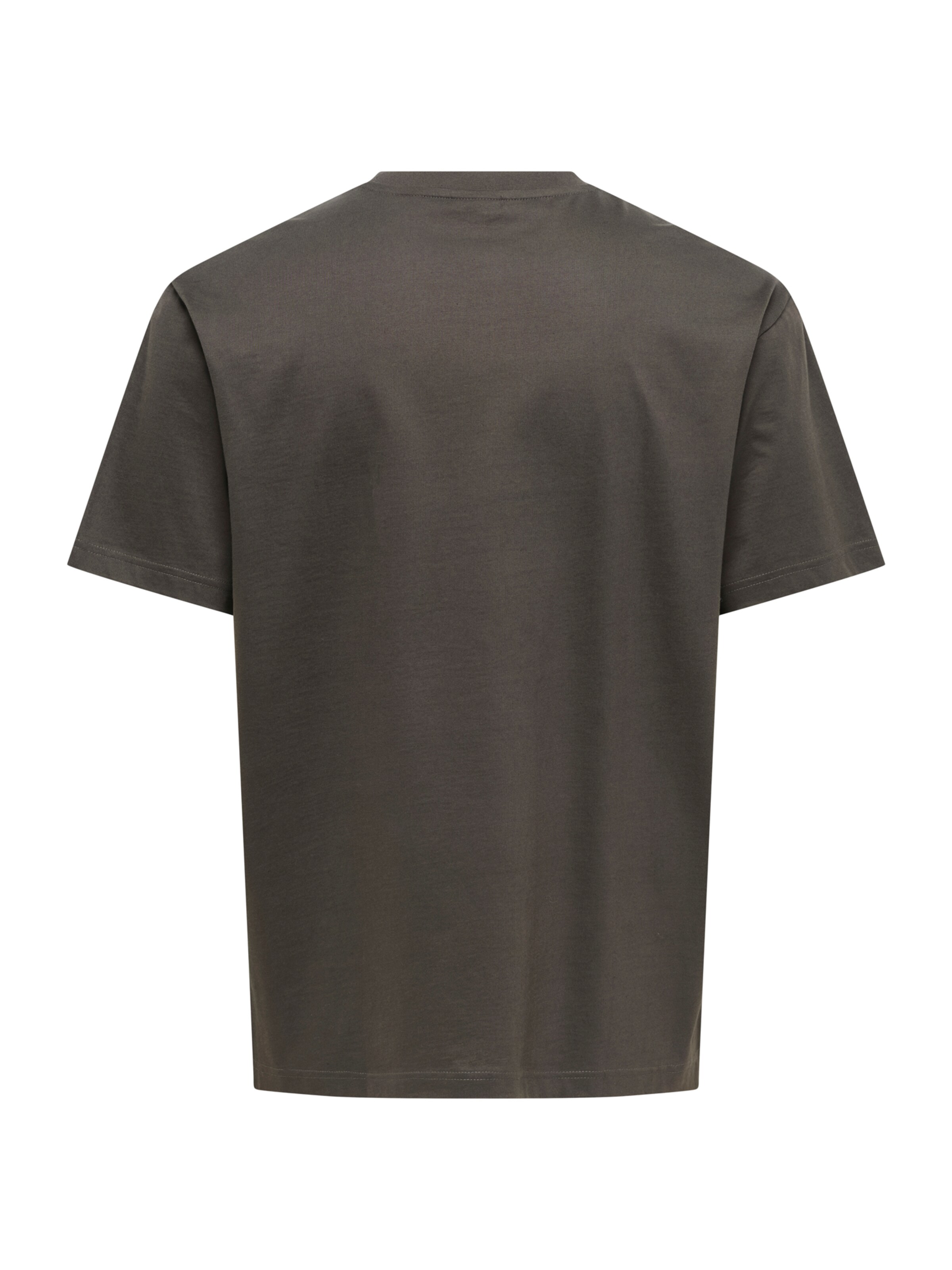 Only & Sons T-Shirt 'ONSFRED' in Braun