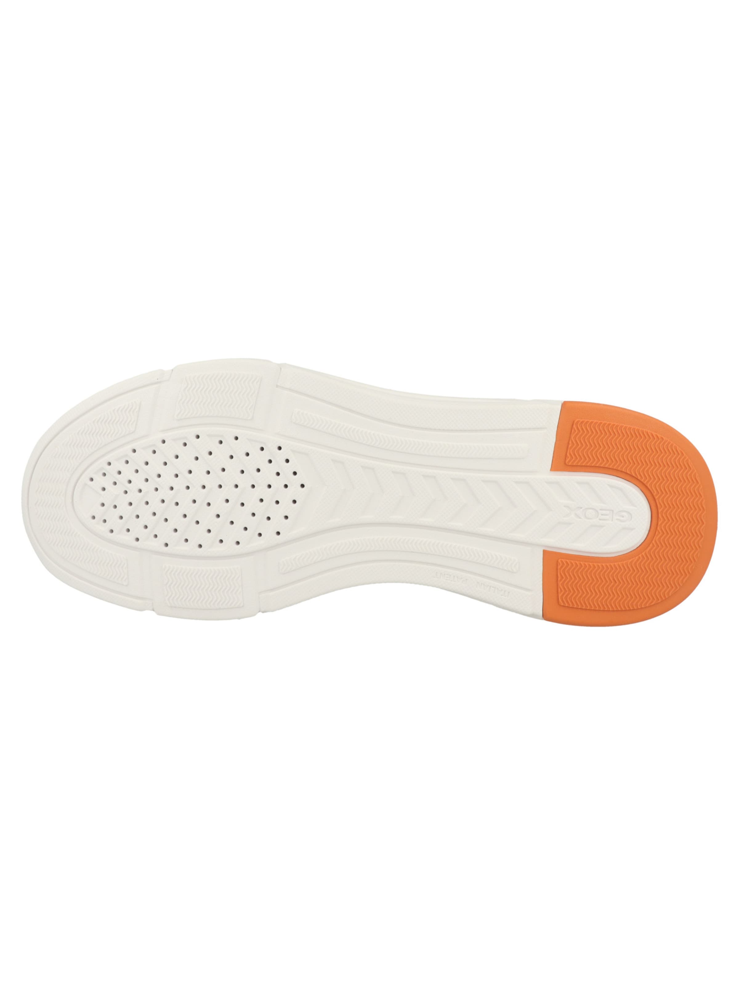 Baskets basses 'Plus A' GEOX en gris