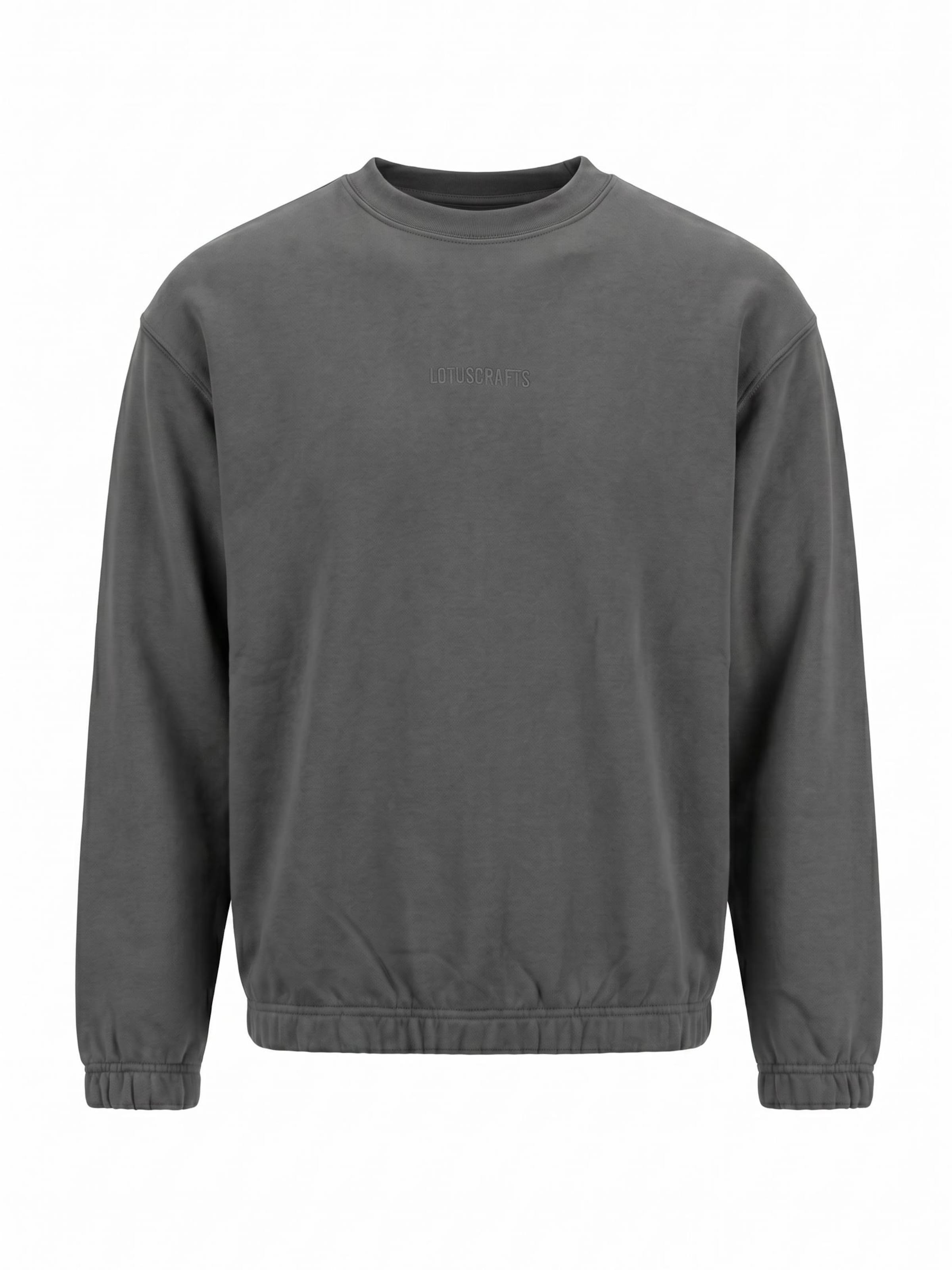 LOTUSCRAFTS Sportsweatshirt 'FEND'‌‌ in S in anthrazit, Produktansicht