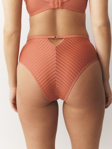 Next Panty in Beige