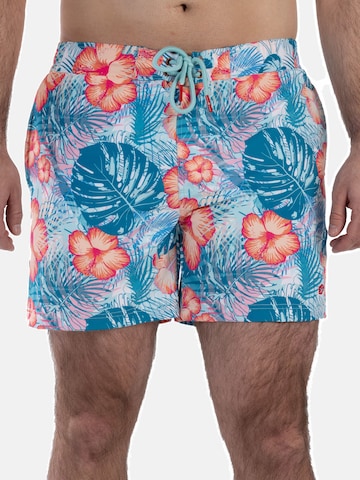 Shorts de bain Frozen Cape en mélange de couleurs : devant