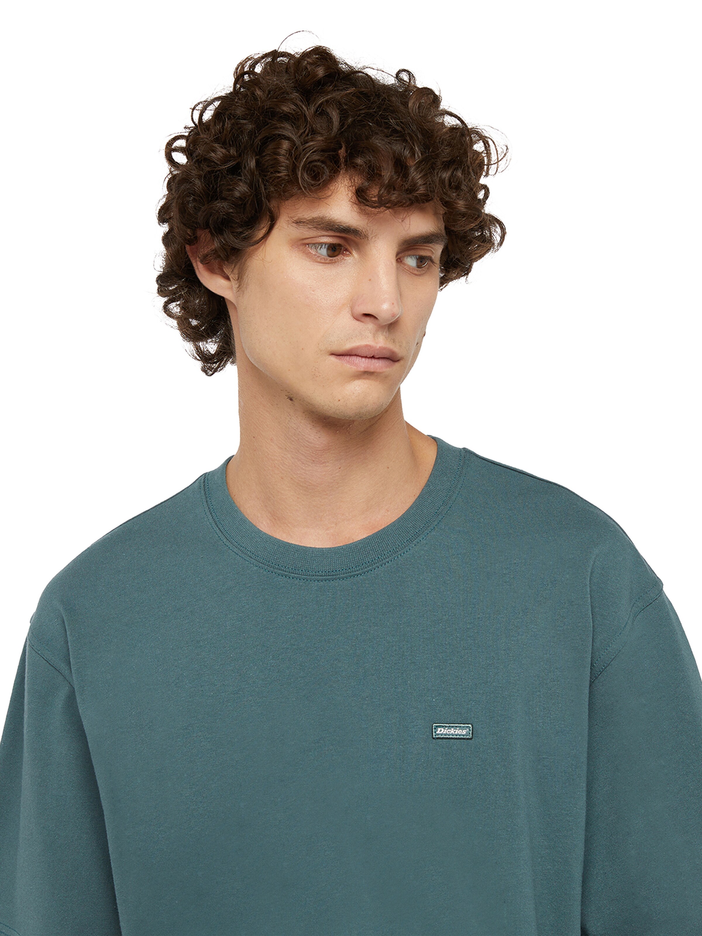 Tricou 'CLANCY ' de la DICKIES pe verde