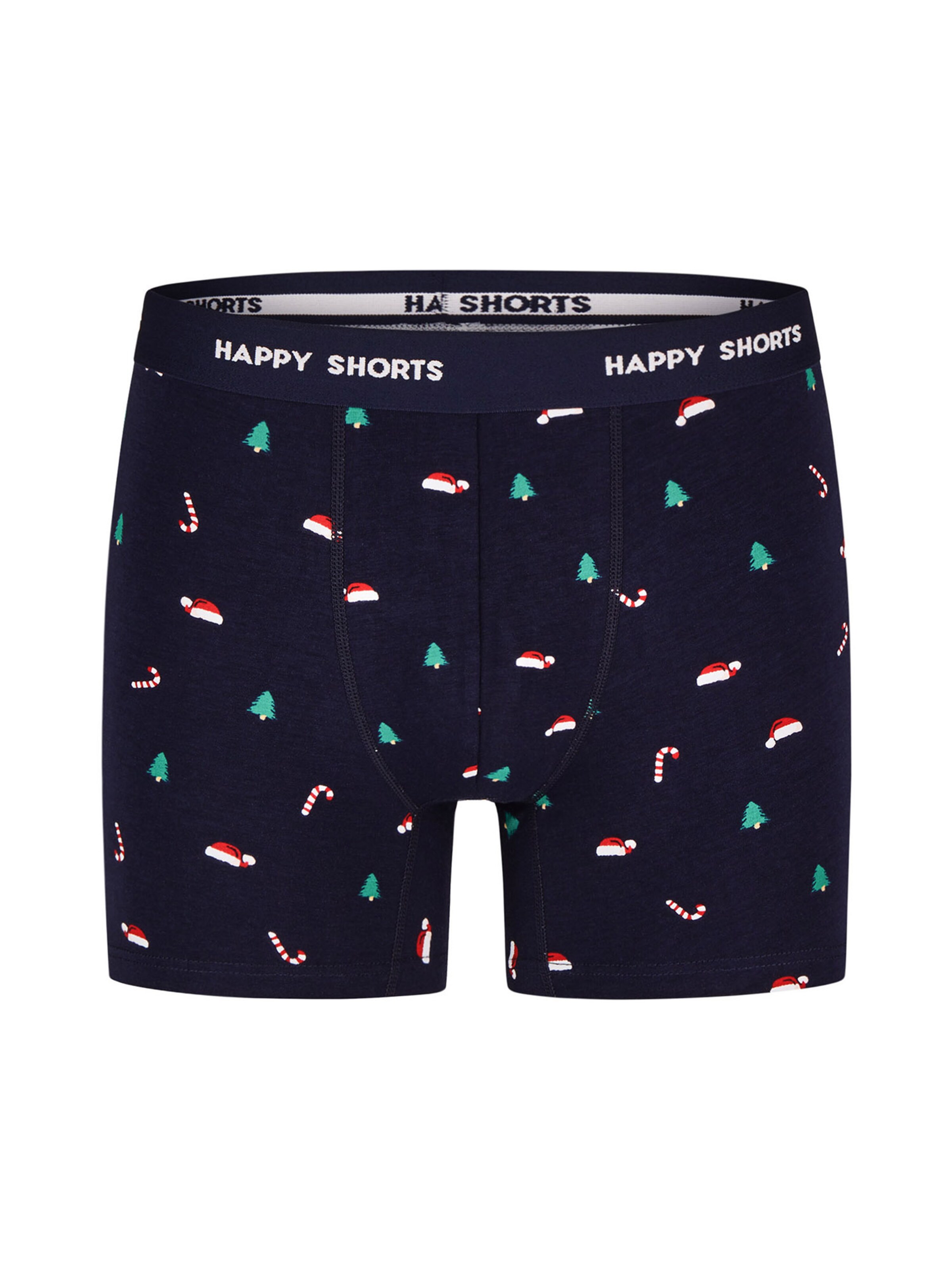 Happy Shorts Boxer shorts 'Xmas' in Blue
